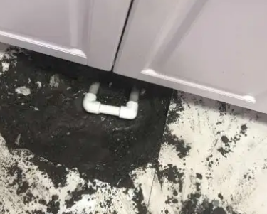 揭东查漏水哪家好
